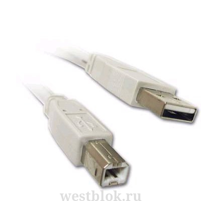 Кабель USB Type A — USB Type B 3м - Pic n 41034