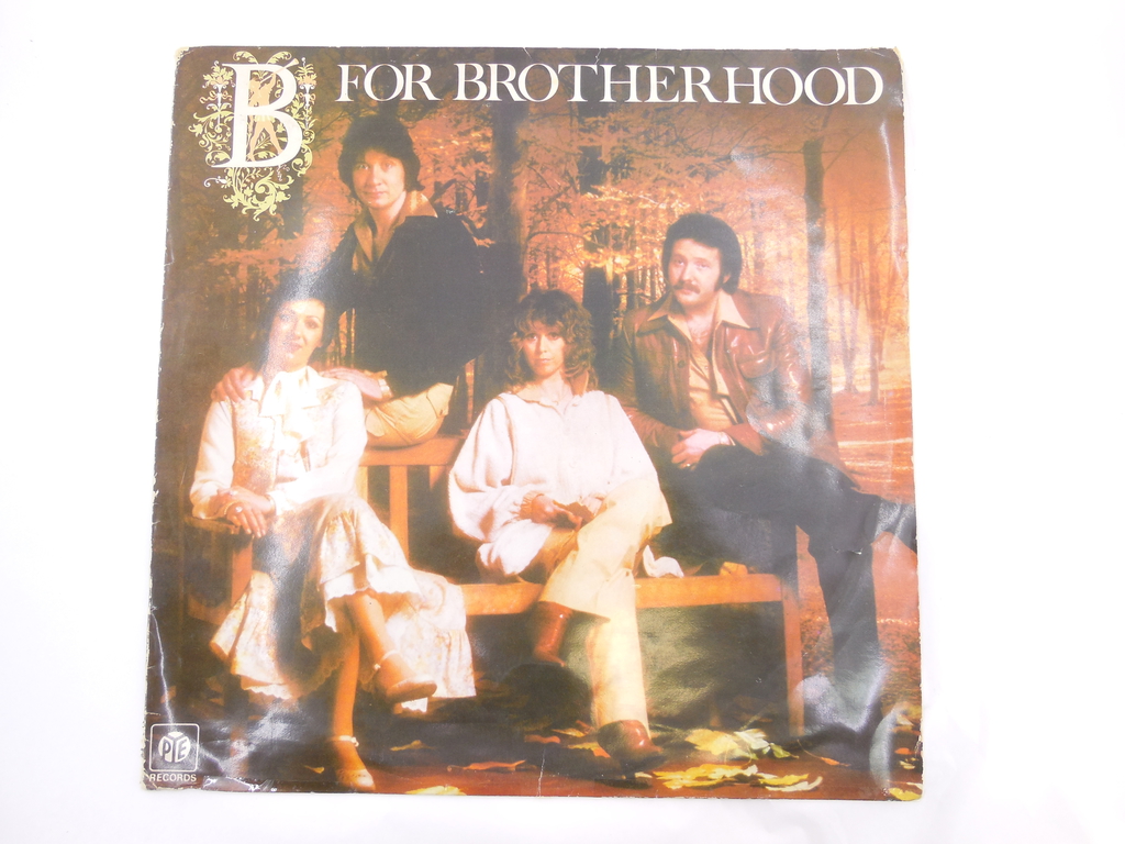 Пластинка Brotherhood of Man — B For Brotherhood - Pic n 296524