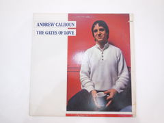 Пластинка Andrew Calhoun — The Gates of Love, 1984 г., Flying Fish Records, Inc., Чикаго