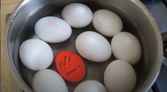 Таймер для варки яиц — кидай в кастрюлю! - Pic n 301119