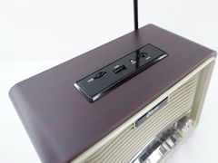 Радиоприемник RPR-088 встроенный аккумулятор Gold - Pic n 301231