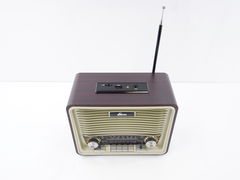 Радиоприемник RPR-088 встроенный аккумулятор Gold - Pic n 301231