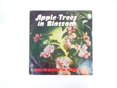 Пластинка Яблони в цвету 60-07917-18 1977 г.